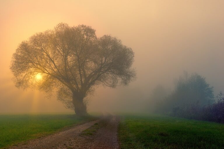 hope, nature, path-5014103.jpg